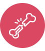 Periprosthetic Fractures