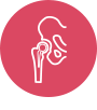 Primary Hip Replacement