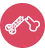 Osteoporosis